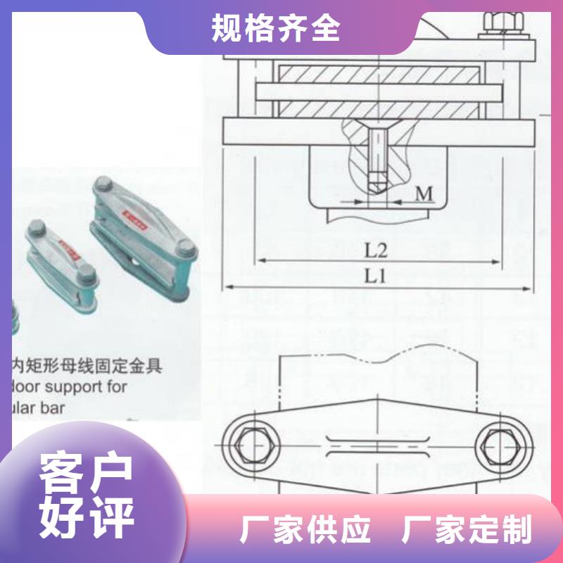 母線固定金具M(jìn)NL-301.