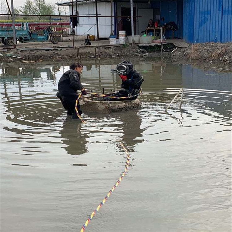 廣州市水下作業(yè)公司-本地全市打撈救援隊(duì)伍