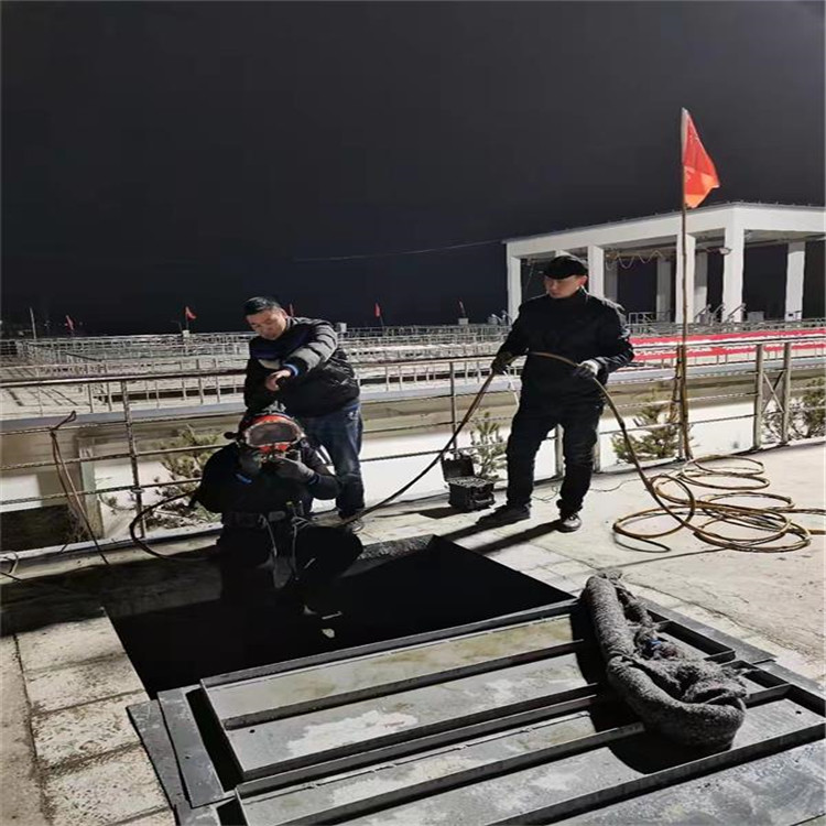 廣州市水下作業(yè)公司-本地全市打撈救援隊伍
