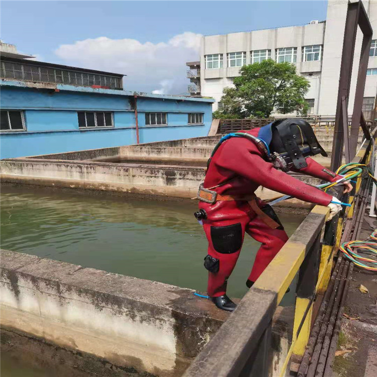 保山市水下打撈手機(jī)怎么收費(fèi)/救援服務(wù)快捷