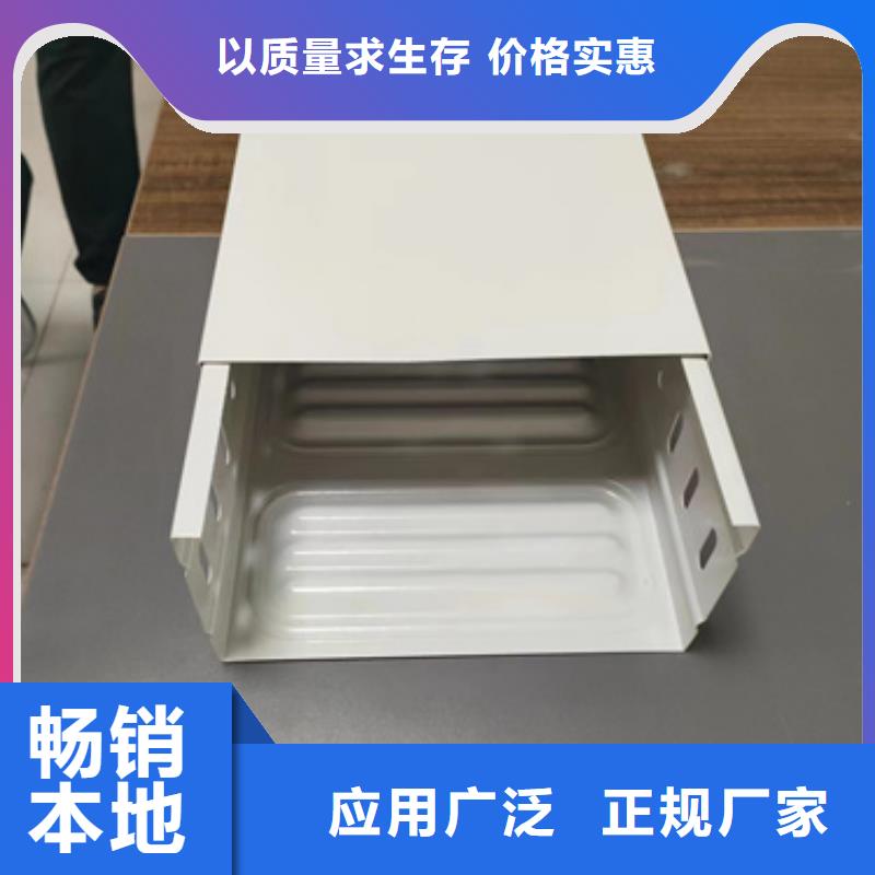 2025专注品质##模压桥架##质量保证本地厂家