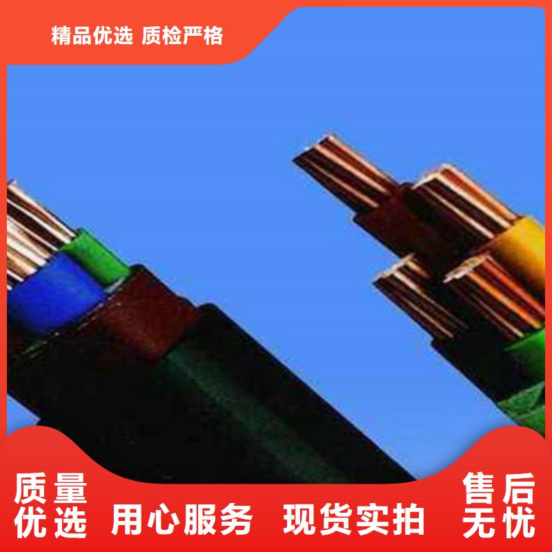 黃南FFZB-KVVP2屏蔽耐高電纜制造廠家