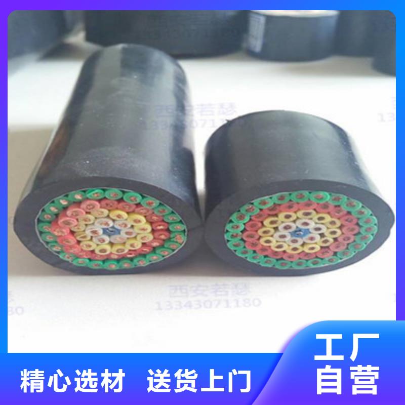 DJYVRP4X2X1.0计算机专用电缆产品齐全让利客户