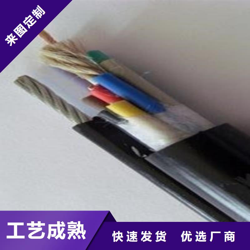 CC-LINK3X0.5供應(yīng)商報(bào)價(jià)同城品牌