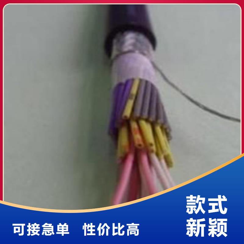 NH-RVSP2X1.5红蓝对绞-诚信经营实体诚信厂家