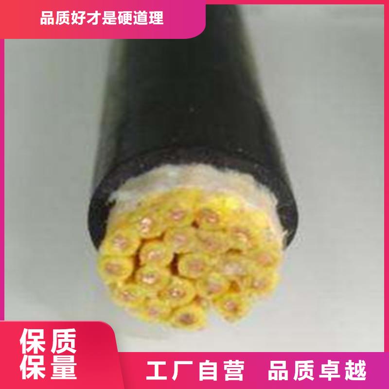 VFVVR3X2.5控制电缆全国配送商家直供