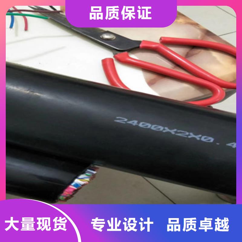 FF-A1X2X18AWG通讯电缆6X1.0同城生产商