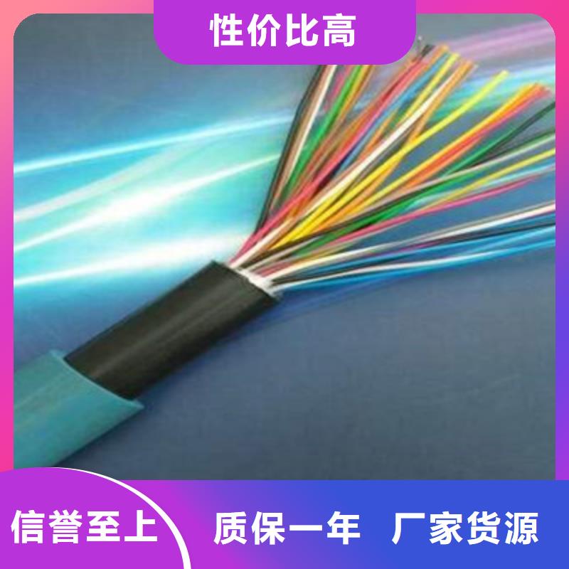 屏蔽通訊電纜GS-HRRVSP1X2.5現(xiàn)貨實(shí)拍