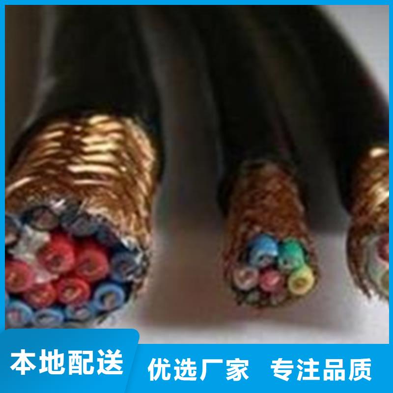 批发计算机屏蔽电缆DJYVP的公司真正的源头厂家