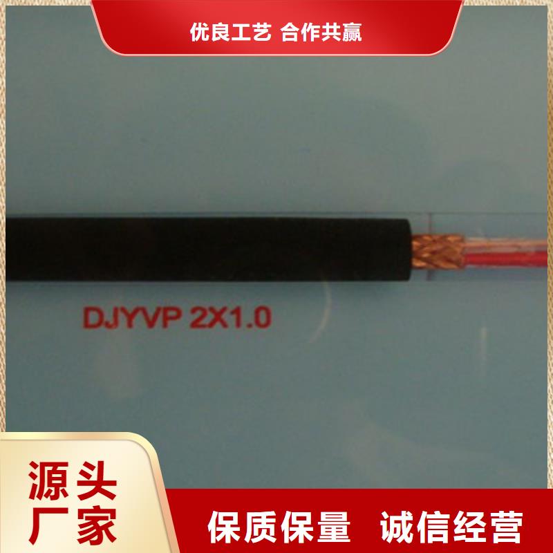 DJYJP3VP3铠装计算机电缆19X2X2.5当地供应商