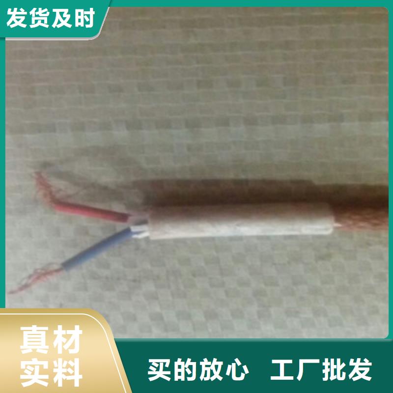 阻燃计算机电缆ZR-DJVP3V221X2X2.5源厂供货