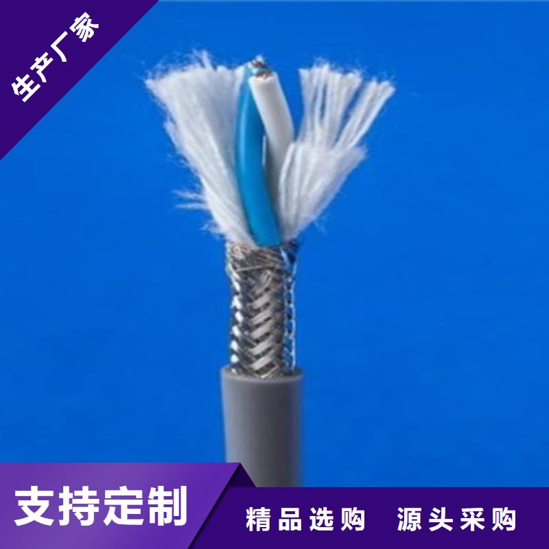 耐火计算机电缆NH-DJVPVP2224X2X1.0当地制造商