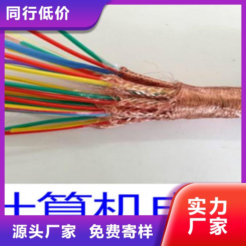 DJYJP2V2R铠装计算机电缆2X2X1.0严选好货