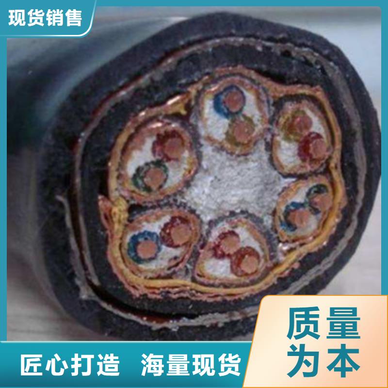 蕪湖低煙無(wú)鹵計(jì)算機(jī)電纜WDZ-KJCRP _品類齊全