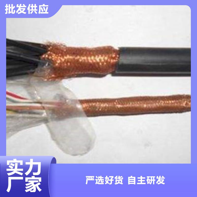WDZ-ZR-KJYYVRPL22低烟无卤计算机电缆24X2X1.5精工打造
