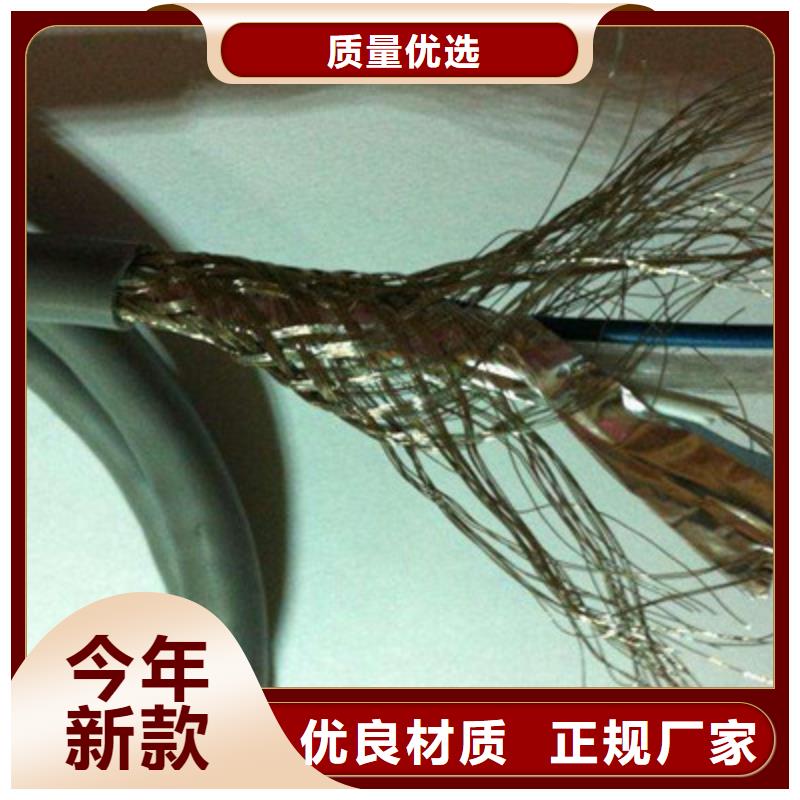 WDZ-DJYJP3VP3R低煙無鹵計(jì)算機(jī)電纜生產(chǎn)基地廠家助您降低采購成本