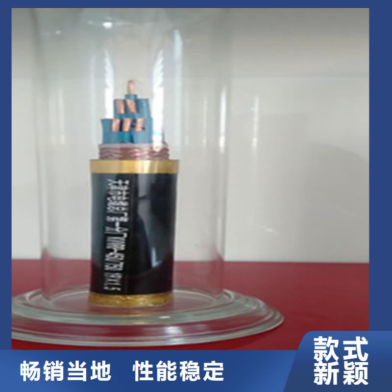 控制电缆质量看得见同城生产商