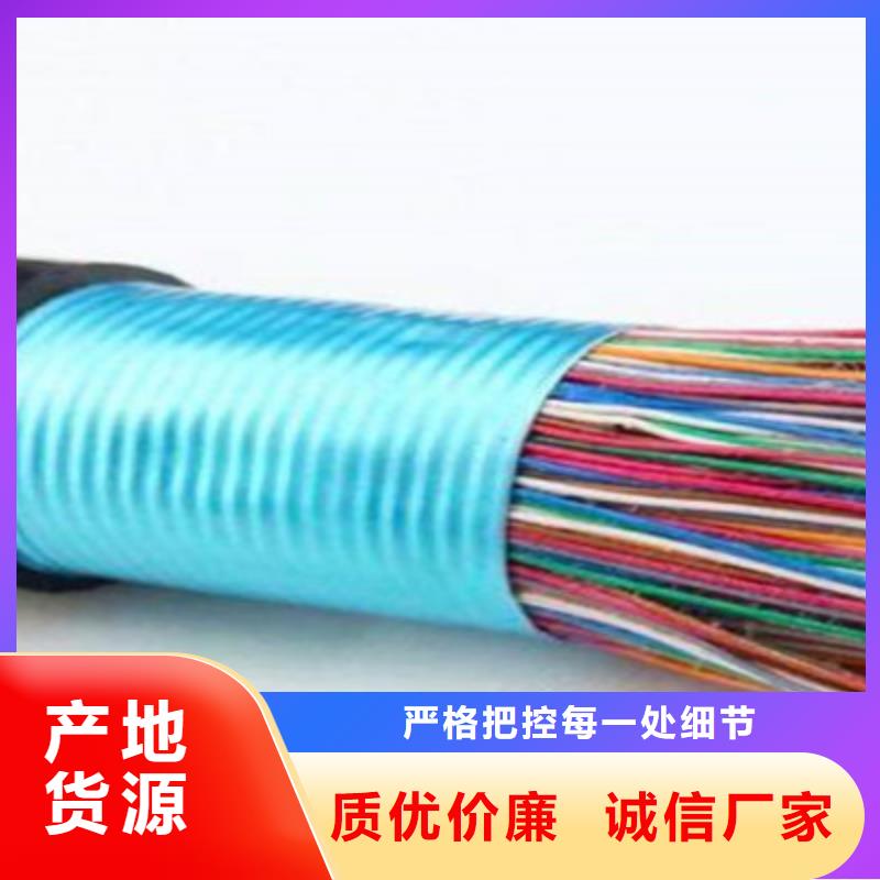 【矿用通信电缆煤矿用阻燃控制电缆来图定制】当地厂家