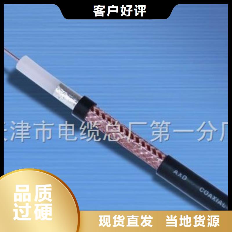 射频同轴电缆【通信电缆】匠心工艺当地经销商