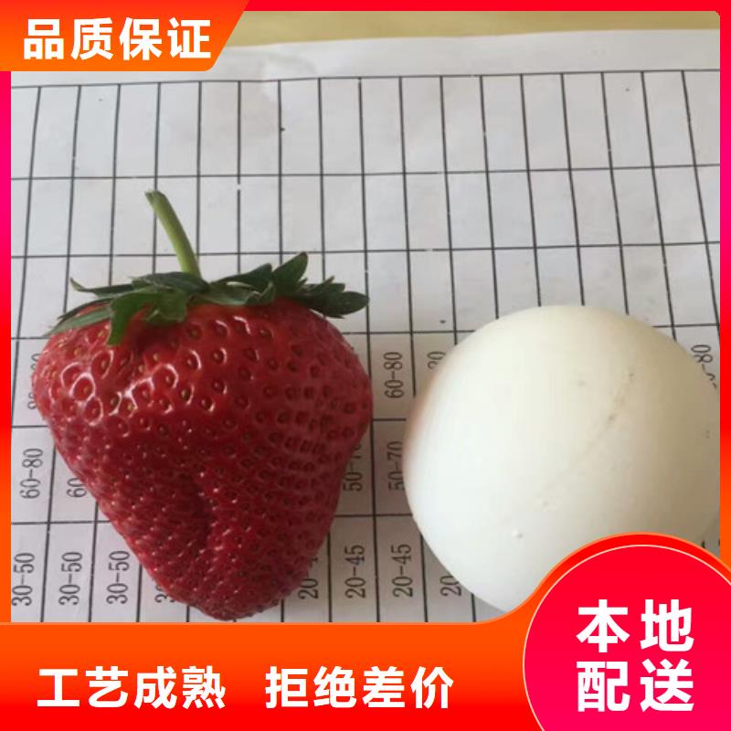 草莓苗 西梅樹苗庫(kù)存齊全廠家直供當(dāng)?shù)毓?></span>
<div   id=