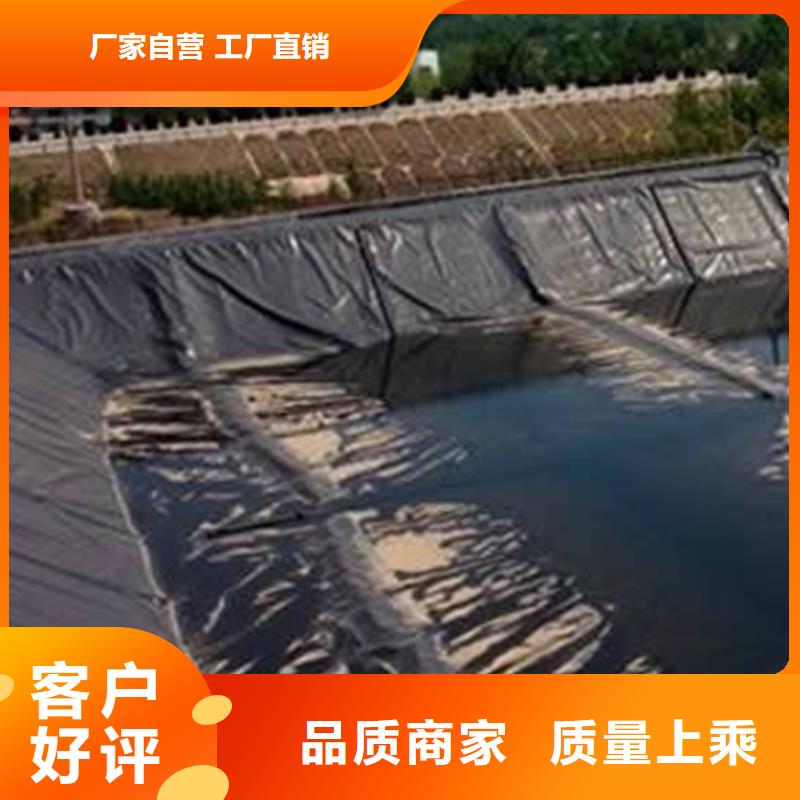 土工膜_防渗膜满足多种行业需求厂家直销货源充足