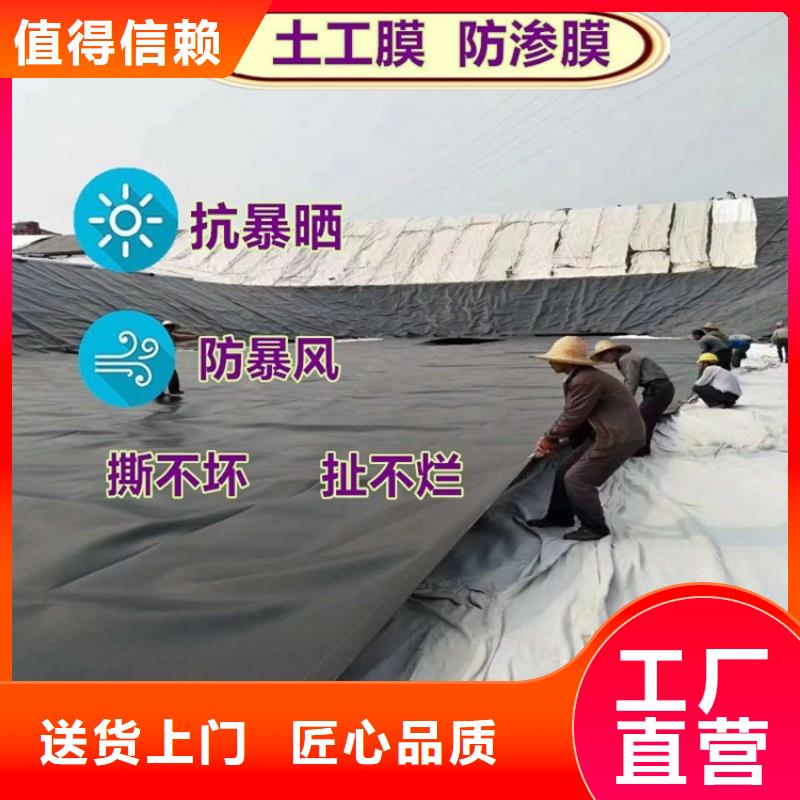 土工膜植草格廠家直銷大量現(xiàn)貨本地品牌