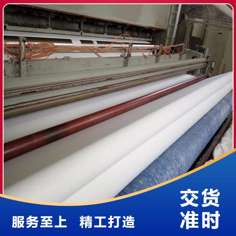 土工布防渗膜丰富的行业经验品牌企业