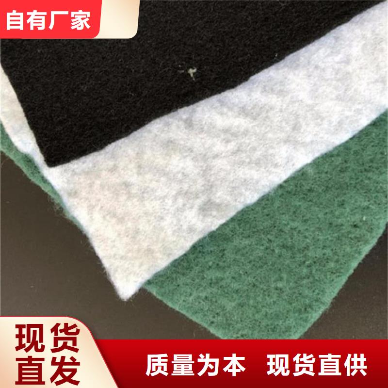 河道堤坝土工布设计施工当地供应商