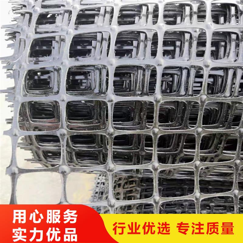 土工格柵,防水毯貨源充足當(dāng)?shù)貜S家
