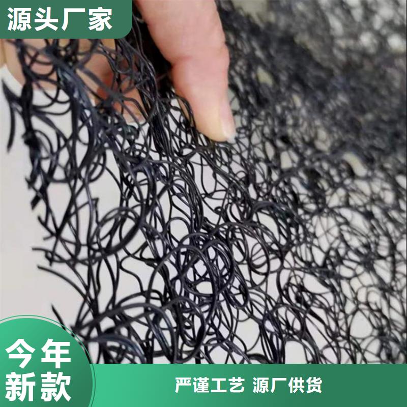 【通风降噪丝网】HDPE土工膜厂家实力大同城经销商