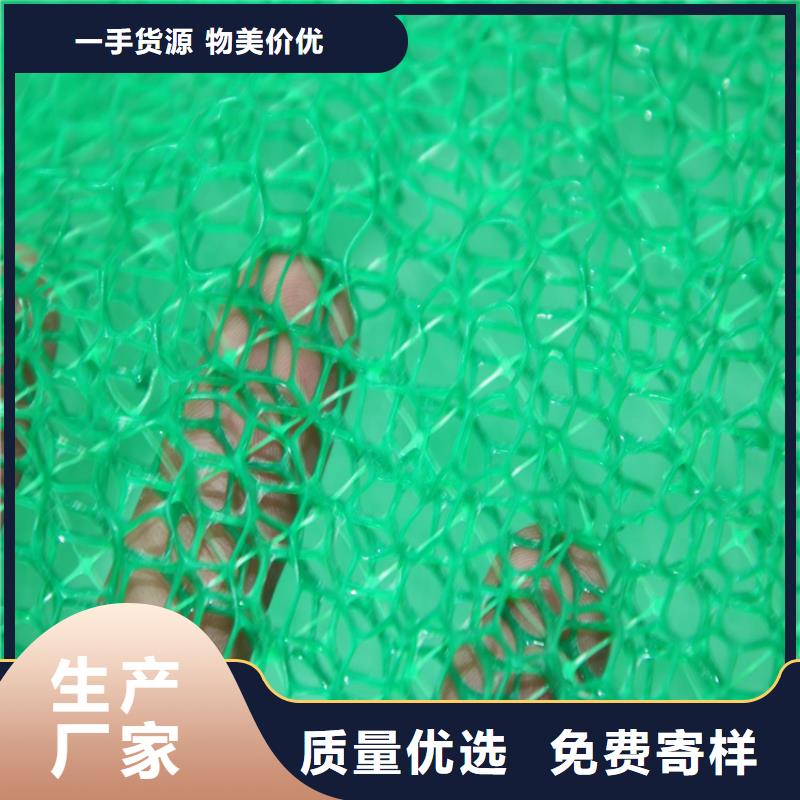三维土工网垫可定制随到随提