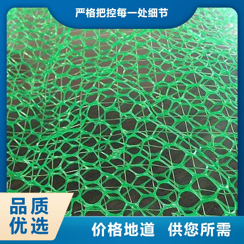 三维植被网膨润土防水毯好货直供同城厂家