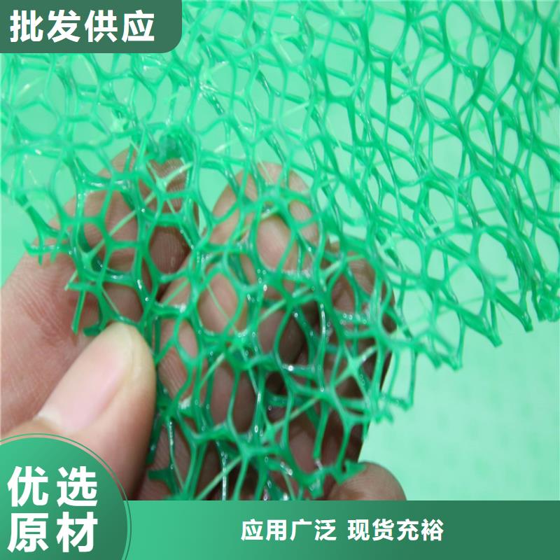 三維植被網(wǎng)土工布支持非標(biāo)定制本地制造商