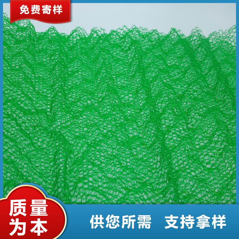 【三維植被網(wǎng)】土工布質優(yōu)價廉同城供應商