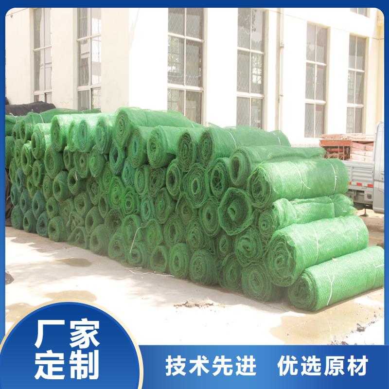 三维植被网土工布安心购好品质选我们