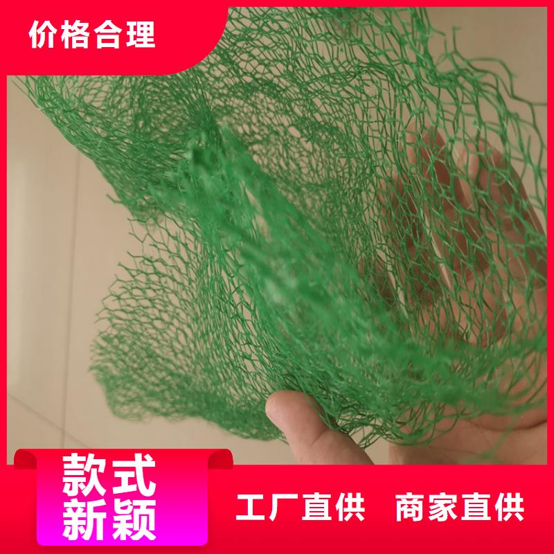 三维植被网【防渗膜】实力商家供货稳定厂家货源