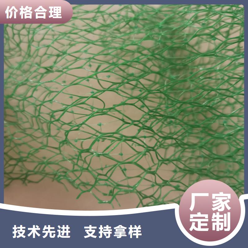 EM3塑料三维固土网垫品质保障价格合理