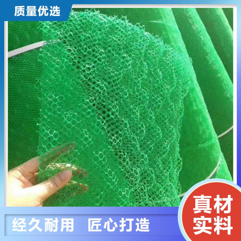 EM2三維植被網(wǎng)哪里有賣(mài)的同城生產(chǎn)商