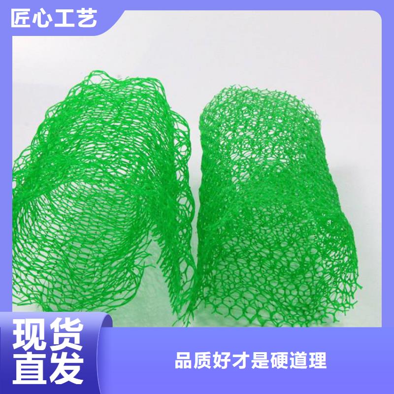 三维植被网_通风降噪丝网生产经验丰富同城服务商