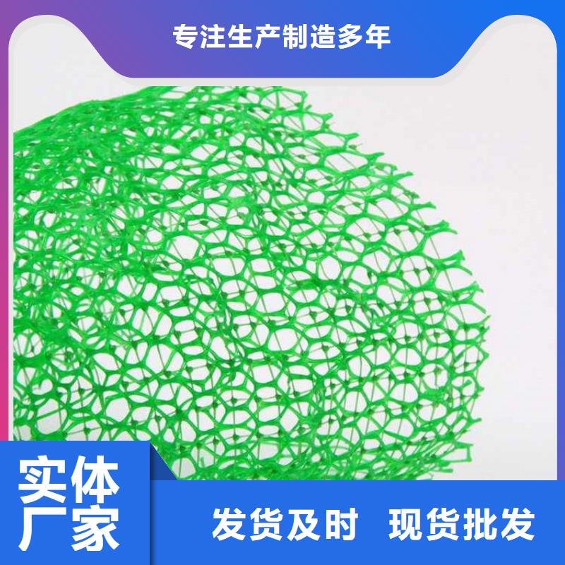 三维护坡植草网公司欢迎您当地货源