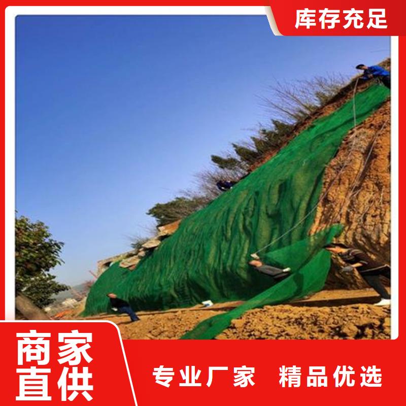 三维植被网本地生产商