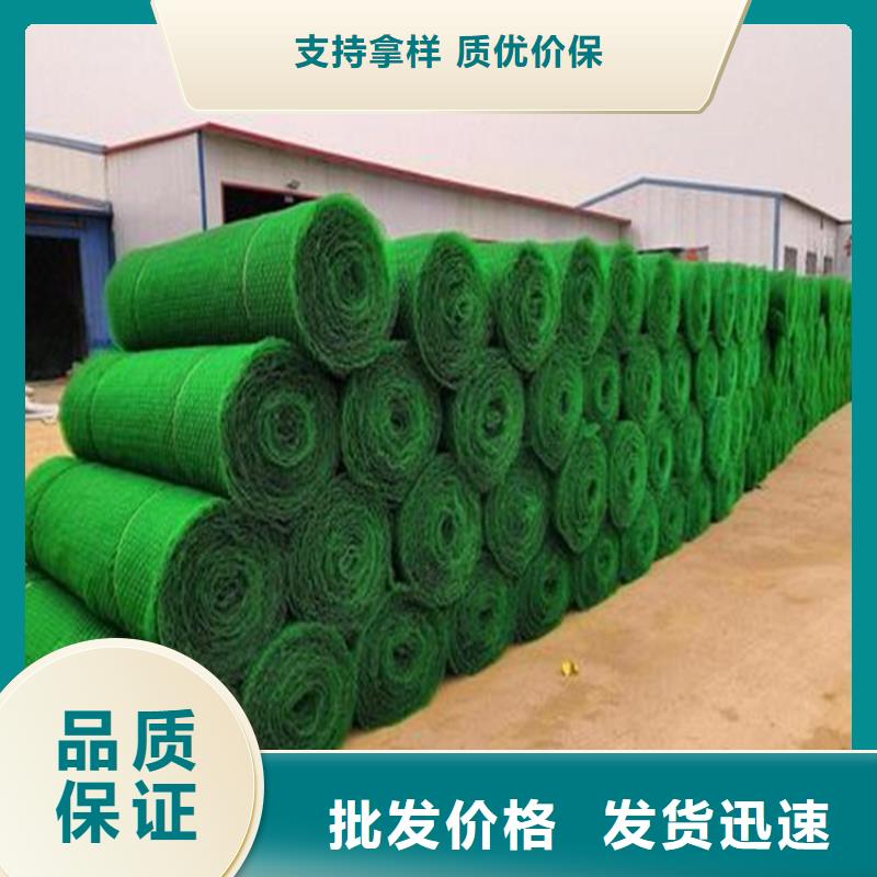三维植被网市场代理今日价格