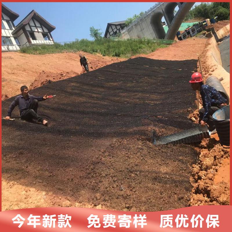 水土保护毯防渗膜本地配送定制速度快工期短