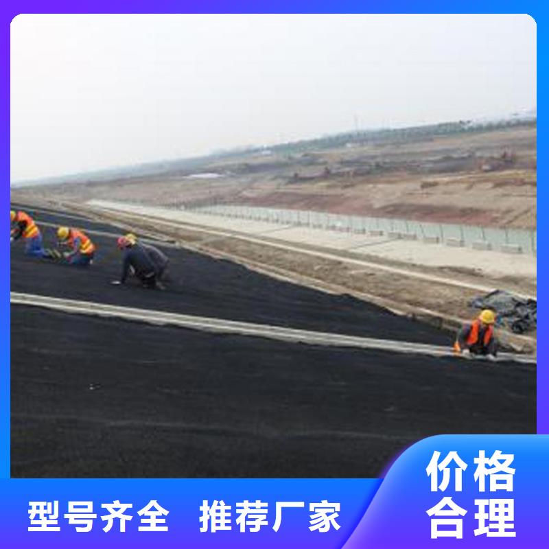 A20三维柔性三维水土保护毯常年出售