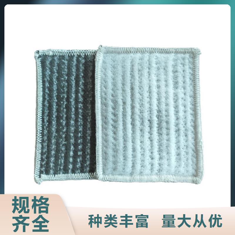 膨润土防水毯土工布有实力有经验当地生产商