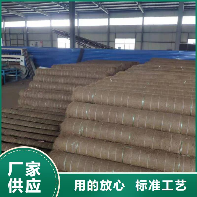 环保草毯同城厂家