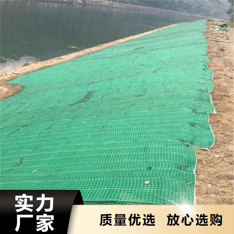 护坡生态草毯本地制造商