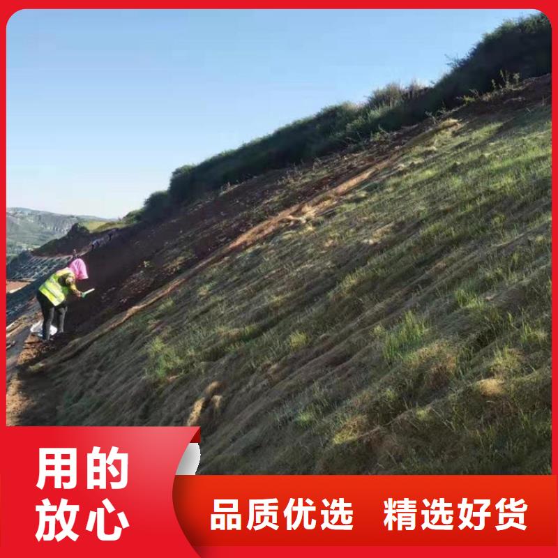 椰丝毯防渗膜48小时发货畅销当地
