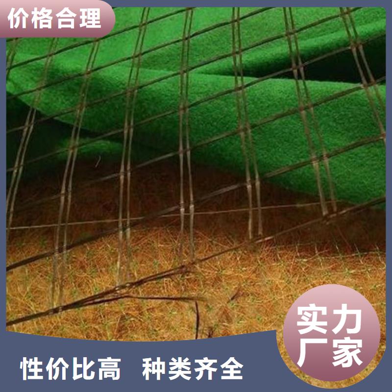 水保抗冲生物毯顶破强度当地生产厂家