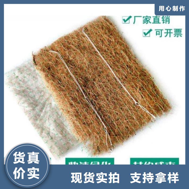 綠化草毯當地經銷商